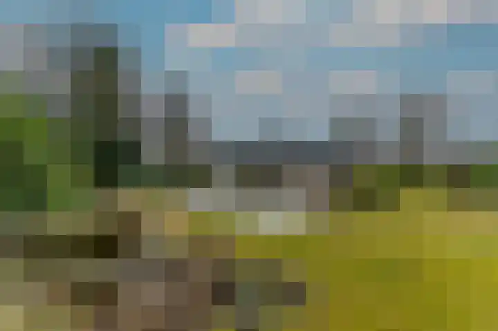Hoosveld 61 Herkenbosch thumbnail 35
