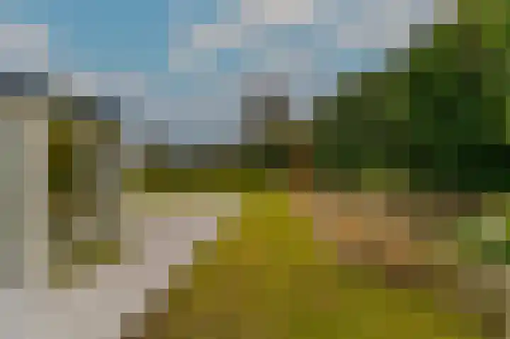 Hoosveld 61 Herkenbosch thumbnail 38