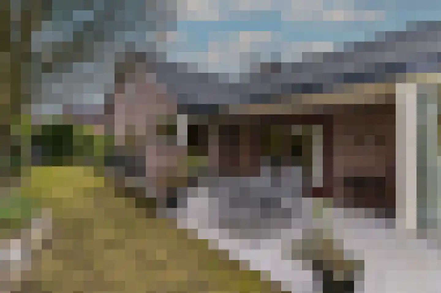 Hoosveld 61 Herkenbosch thumbnail 39