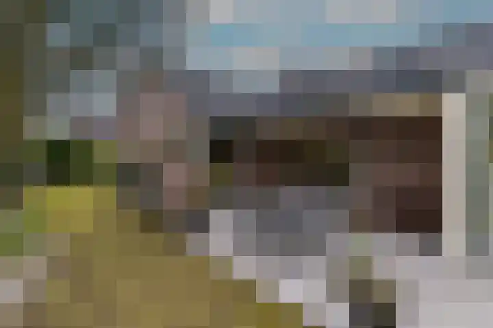 Hoosveld 61 Herkenbosch thumbnail 39
