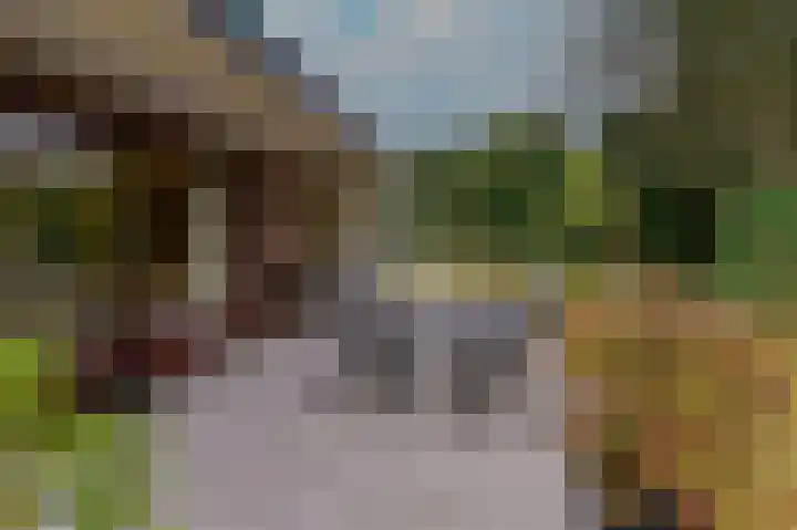 Hoosveld 61 Herkenbosch thumbnail 40