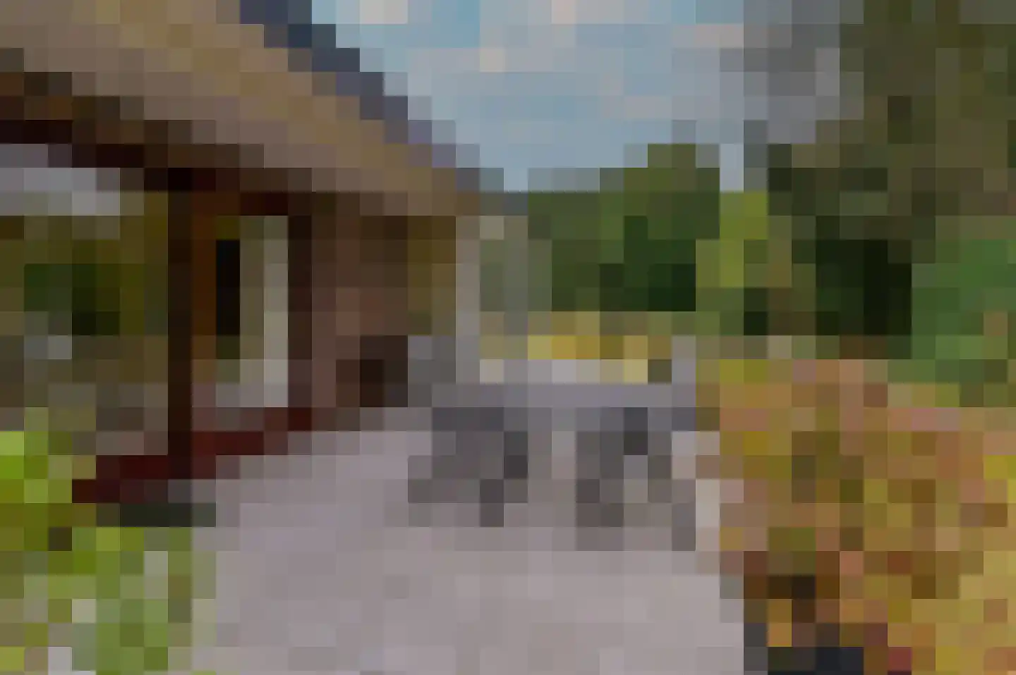 Hoosveld 61 Herkenbosch thumbnail 40