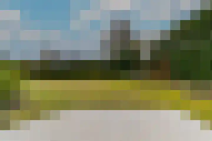 Hoosveld 61 Herkenbosch thumbnail 41