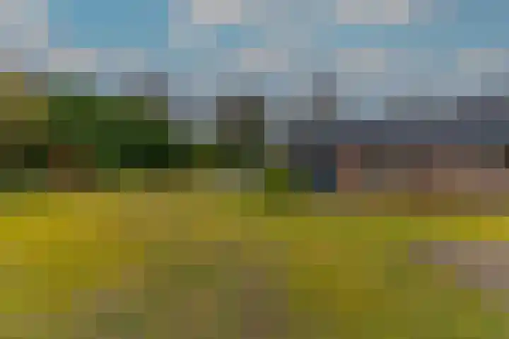 Hoosveld 61 Herkenbosch thumbnail 42