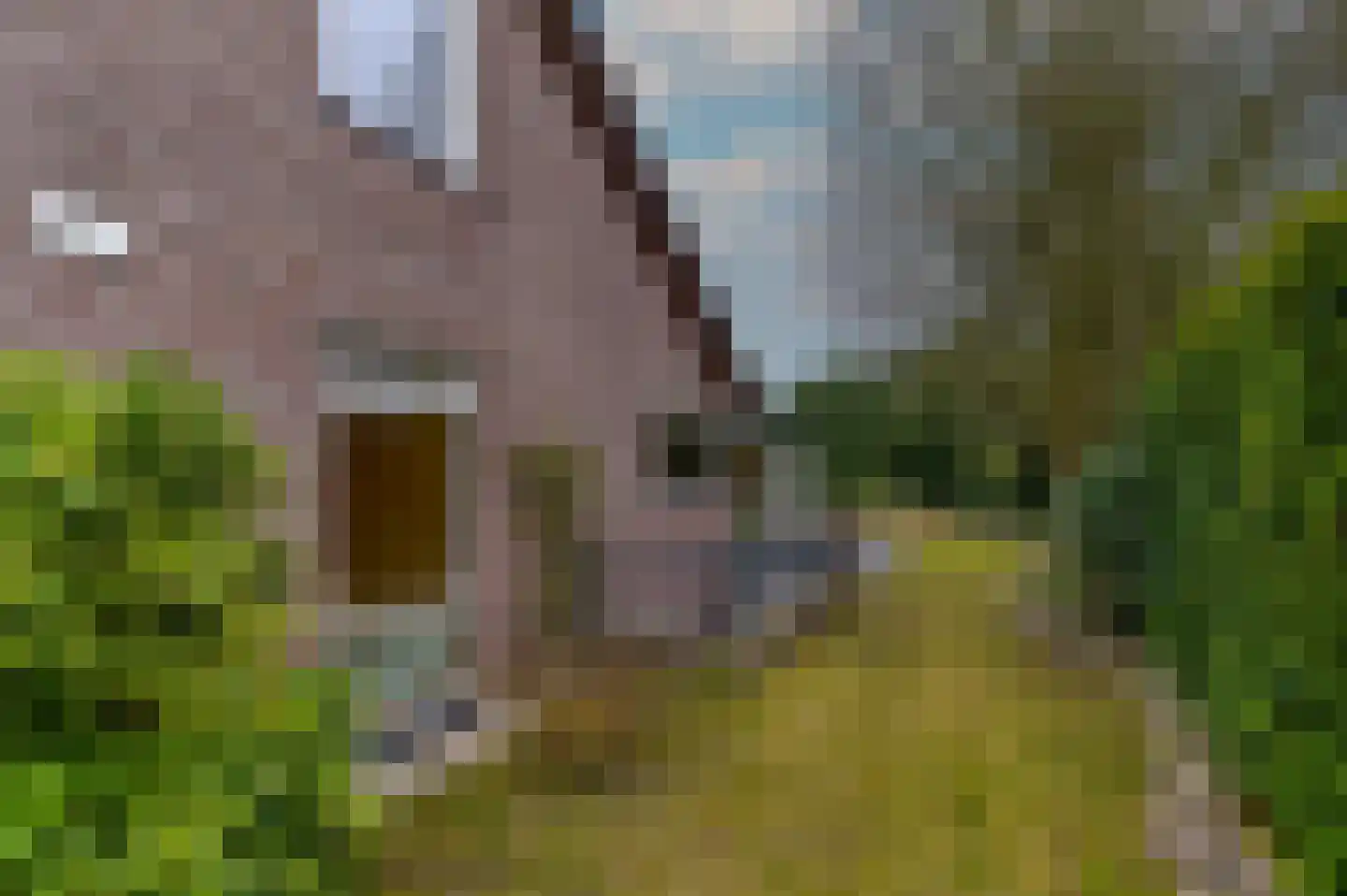 Hoosveld 61 Herkenbosch thumbnail 43