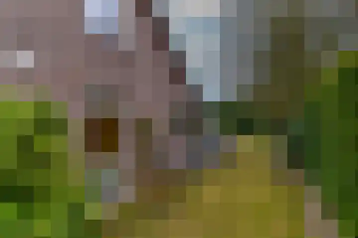 Hoosveld 61 Herkenbosch thumbnail 43