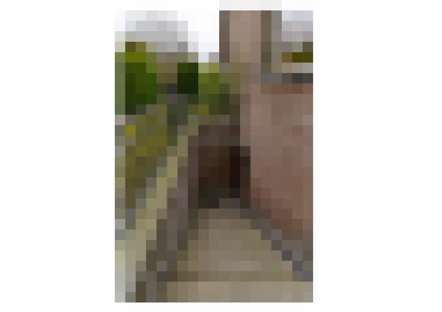 Hoosveld 61 Herkenbosch thumbnail 44