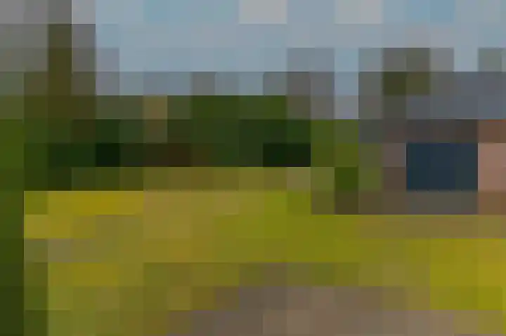 Hoosveld 61 Herkenbosch thumbnail 45