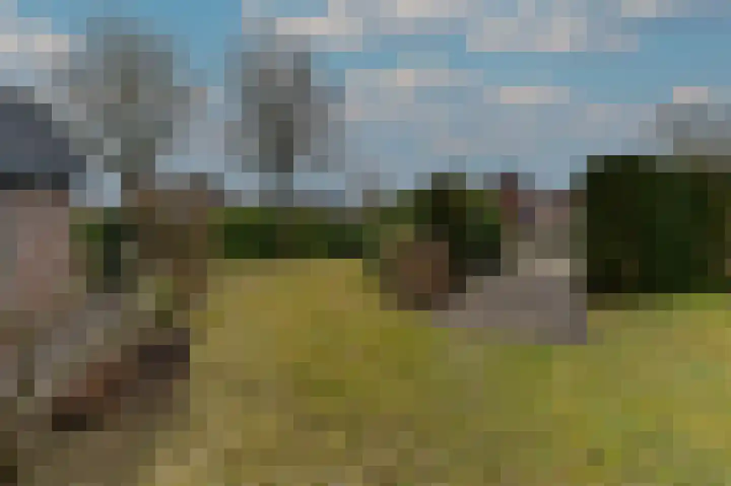 Hoosveld 61 Herkenbosch thumbnail 46