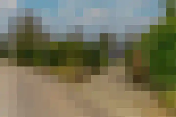 Hoosveld 61 Herkenbosch thumbnail 47