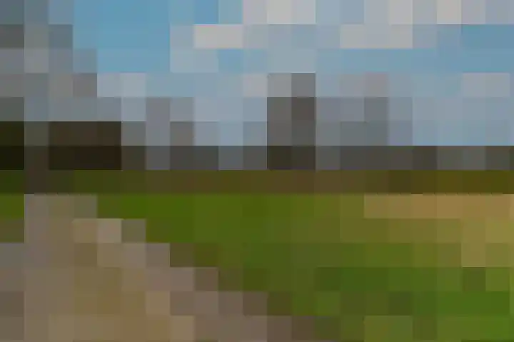 Hoosveld 61 Herkenbosch thumbnail 51