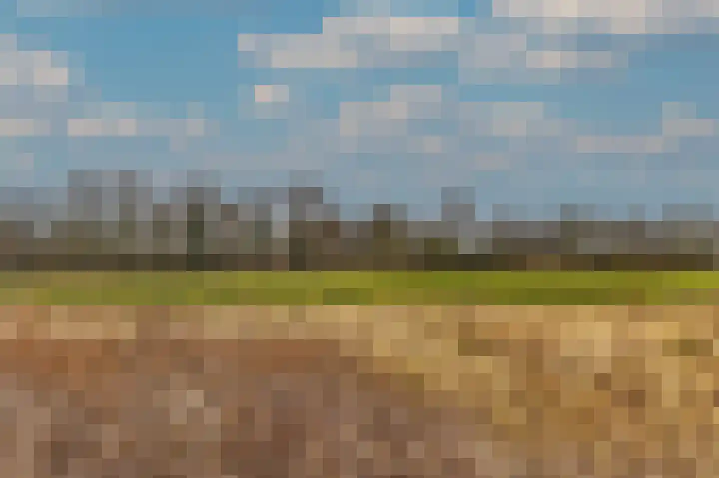 Hoosveld 61 Herkenbosch thumbnail 52