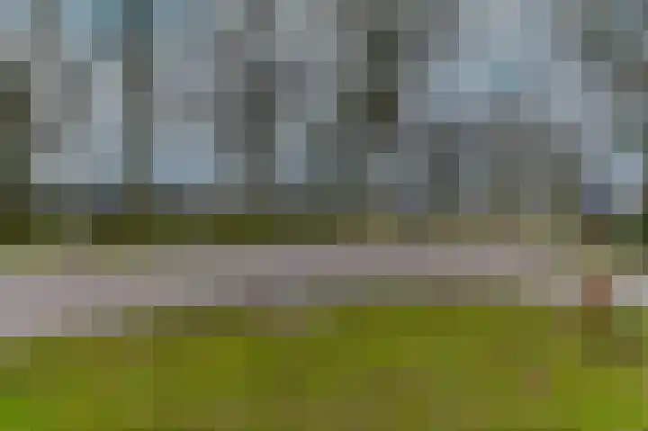 Hoosveld 61 Herkenbosch thumbnail 53
