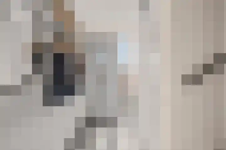 Hootsenheem 15 Veenendaal thumbnail 11