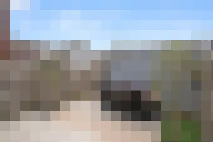 Hootsenheem 15 Veenendaal thumbnail 33