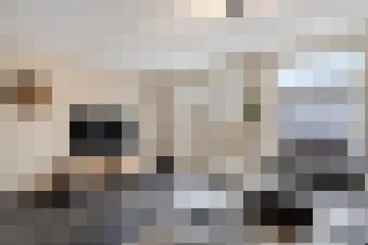 Hootsenheem 15 Veenendaal thumbnail 4