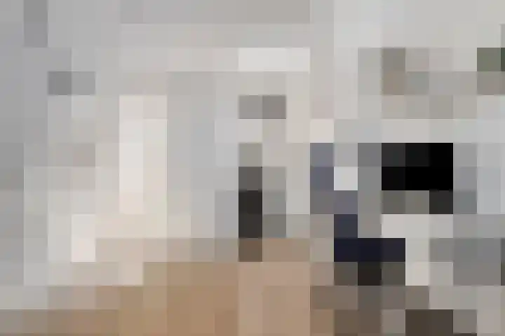 Hootsenheem 9 Veenendaal thumbnail 35