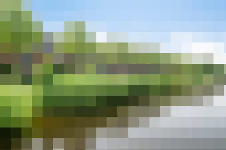 Hootsenheem 9 Veenendaal thumbnail 39
