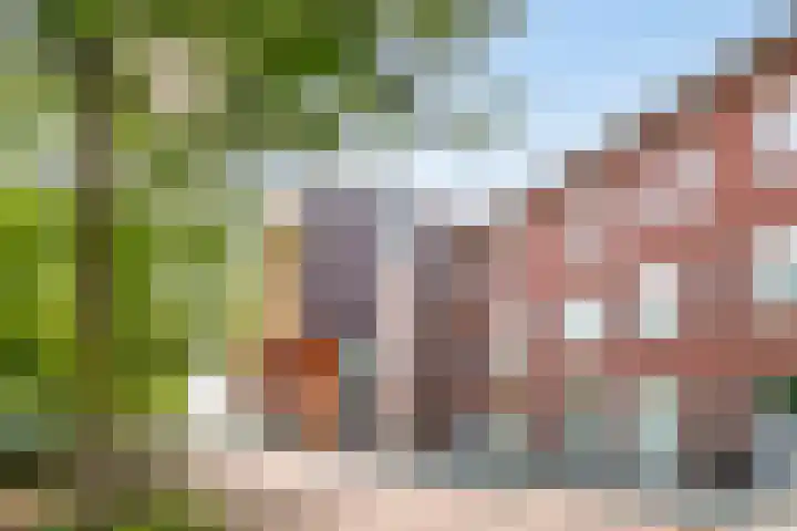 Hootsenheem 9 Veenendaal thumbnail 5