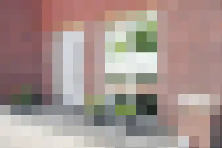 Hootsenheem 9 Veenendaal thumbnail 6