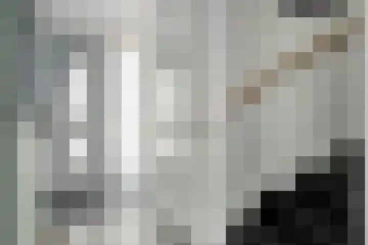 Hootsenheem 9 Veenendaal thumbnail 7