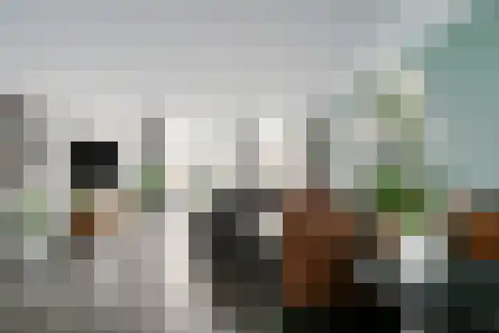 Hootsenheem 9 Veenendaal thumbnail 9