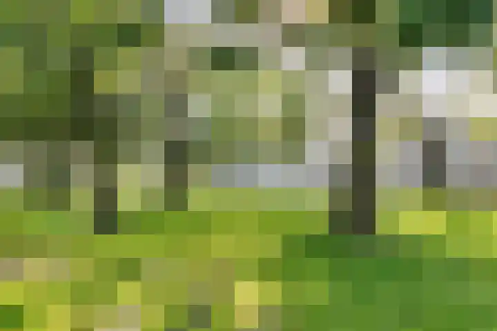 Hootsenstraat 10 Ederveen thumbnail 37