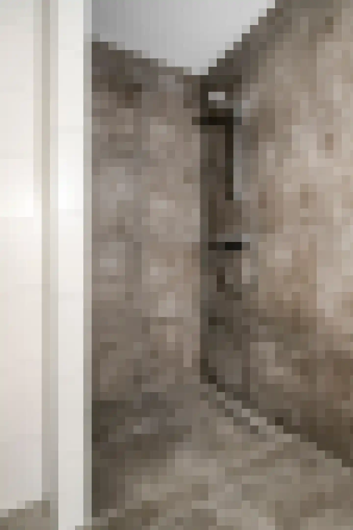 Hootsenstraat 3 A Ederveen thumbnail 30