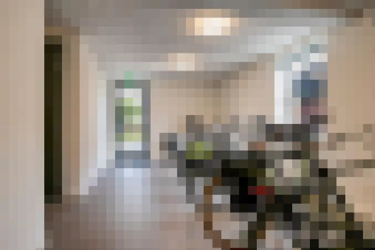 Hootsenstraat 3 A Ederveen thumbnail 35
