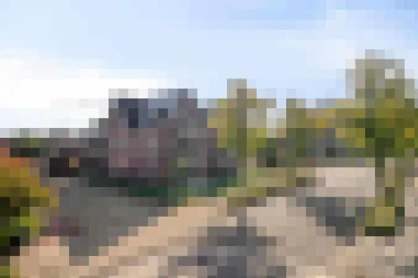Hootsenstraat 3 A Ederveen thumbnail 38