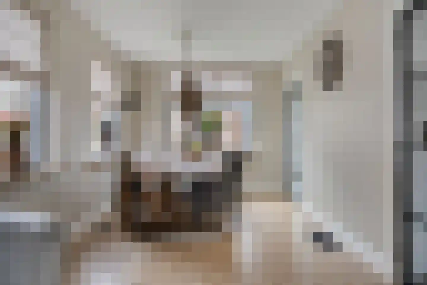 Hootsenstraat 32 Ederveen thumbnail 10
