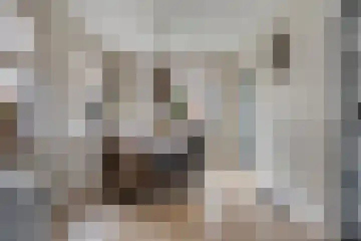 Hootsenstraat 32 Ederveen thumbnail 10