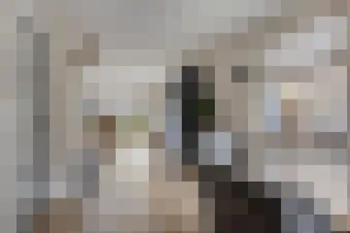 Hootsenstraat 32 Ederveen thumbnail 11