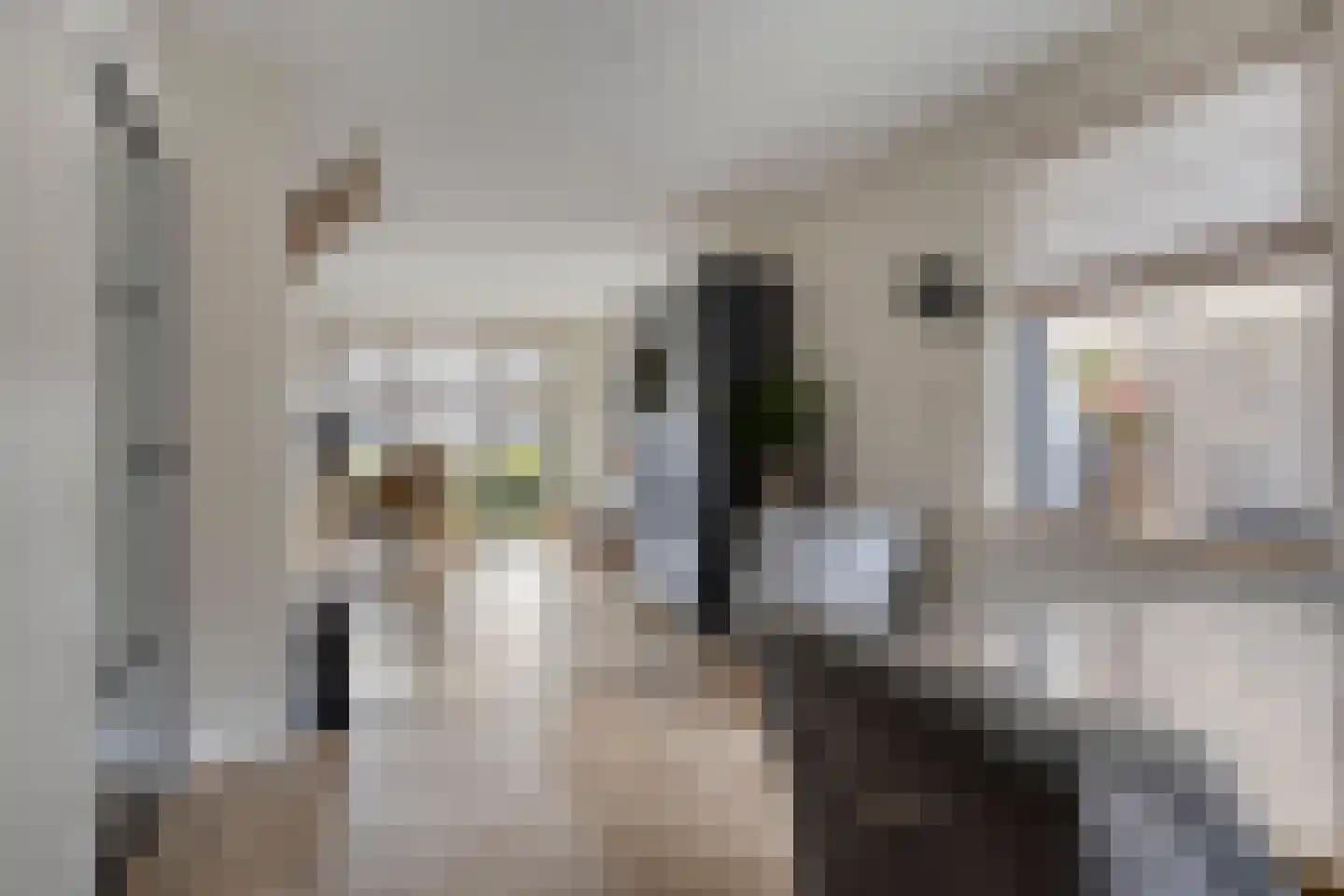 Hootsenstraat 32 Ederveen thumbnail 11