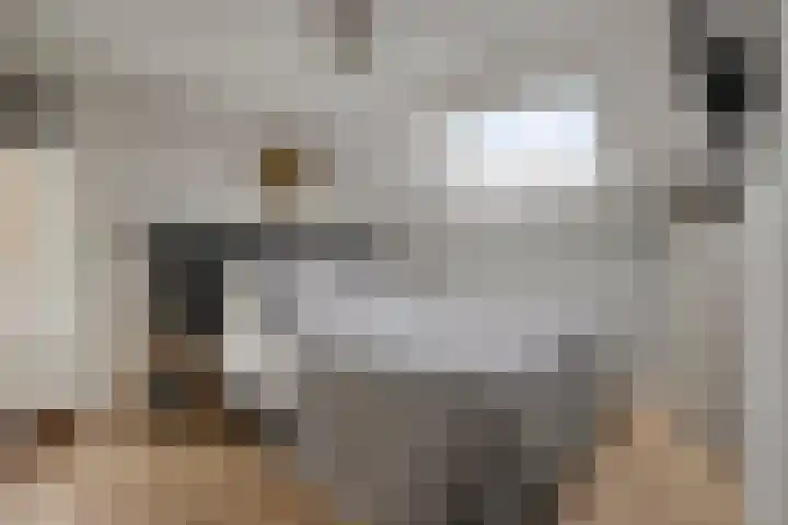 Hootsenstraat 32 Ederveen thumbnail 18