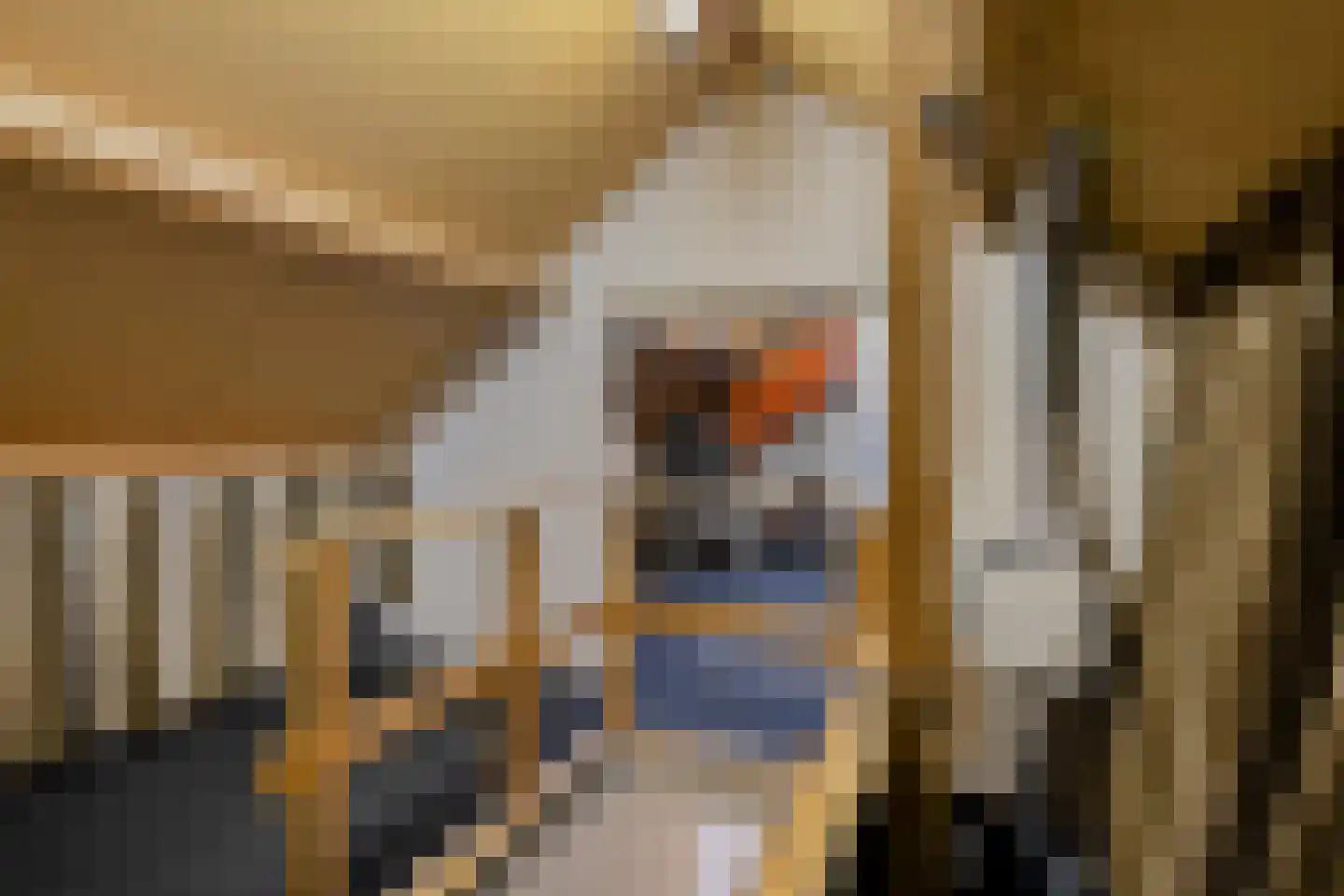 Hootsenstraat 32 Ederveen thumbnail 31