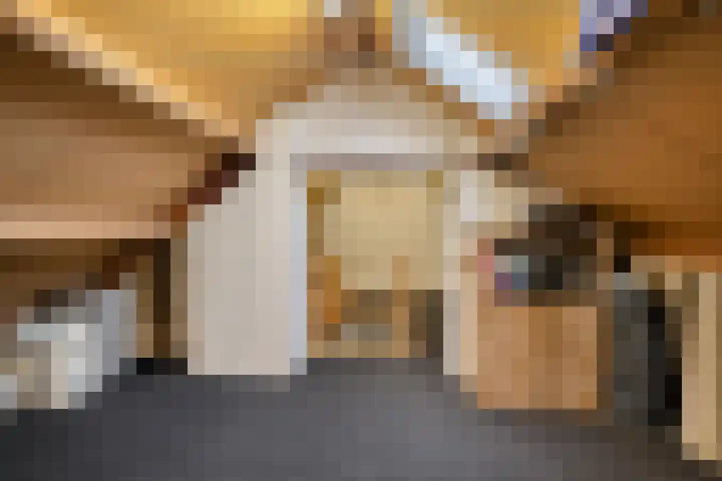 Hootsenstraat 32 Ederveen thumbnail 33