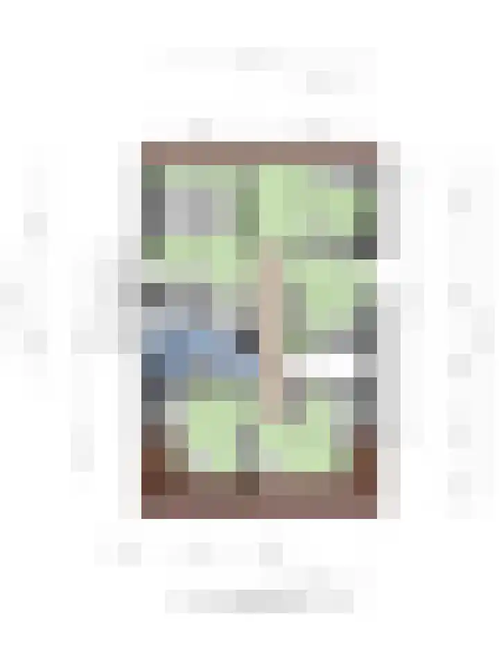 Hootsenstraat 32 Ederveen thumbnail 51