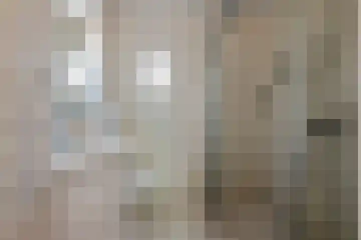 Hootsenstraat 9 Ederveen thumbnail 21