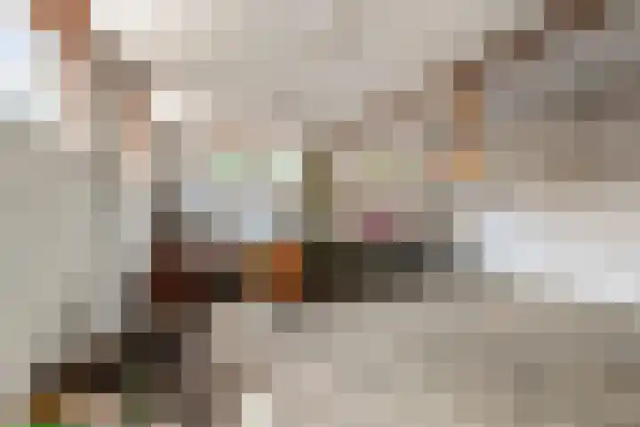 Hootsenstraat 9 Ederveen thumbnail 24