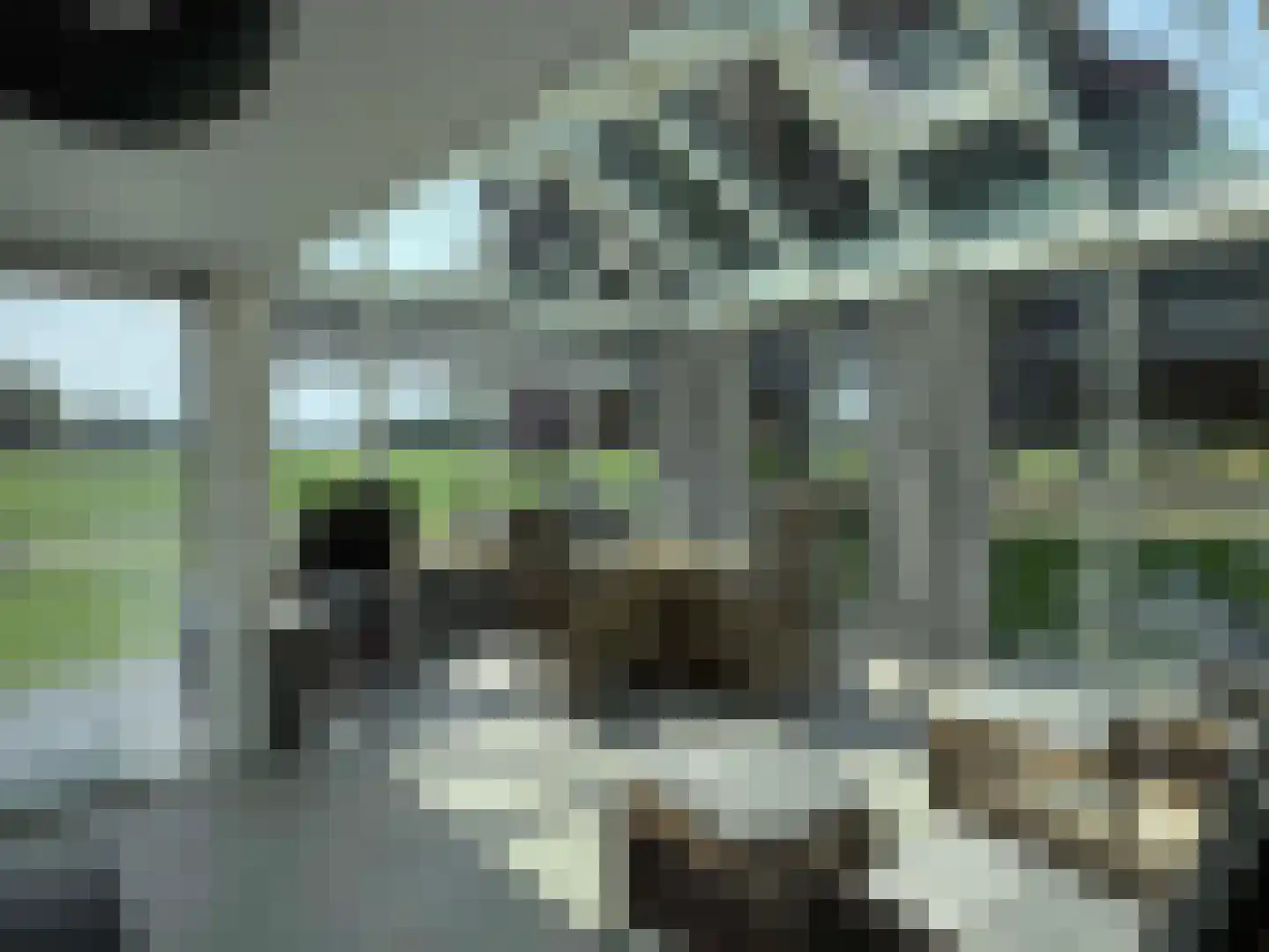 Hooya's Oord 8 Dalen thumbnail 10