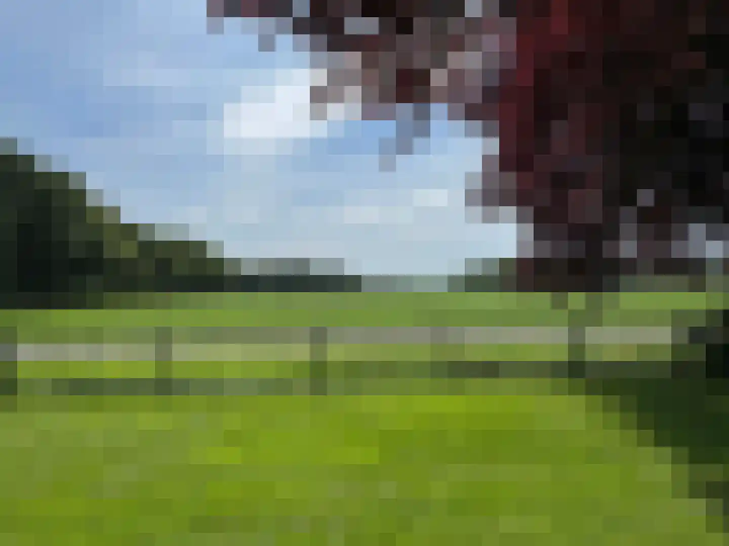Hooya's Oord 8 Dalen thumbnail 16