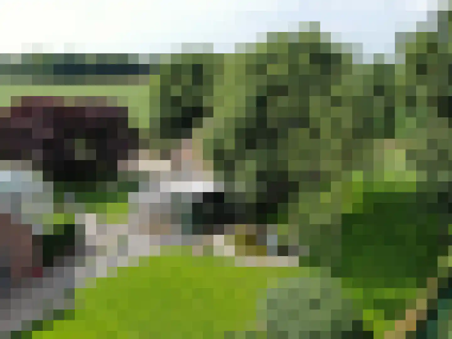 Hooya's Oord 8 Dalen thumbnail 20