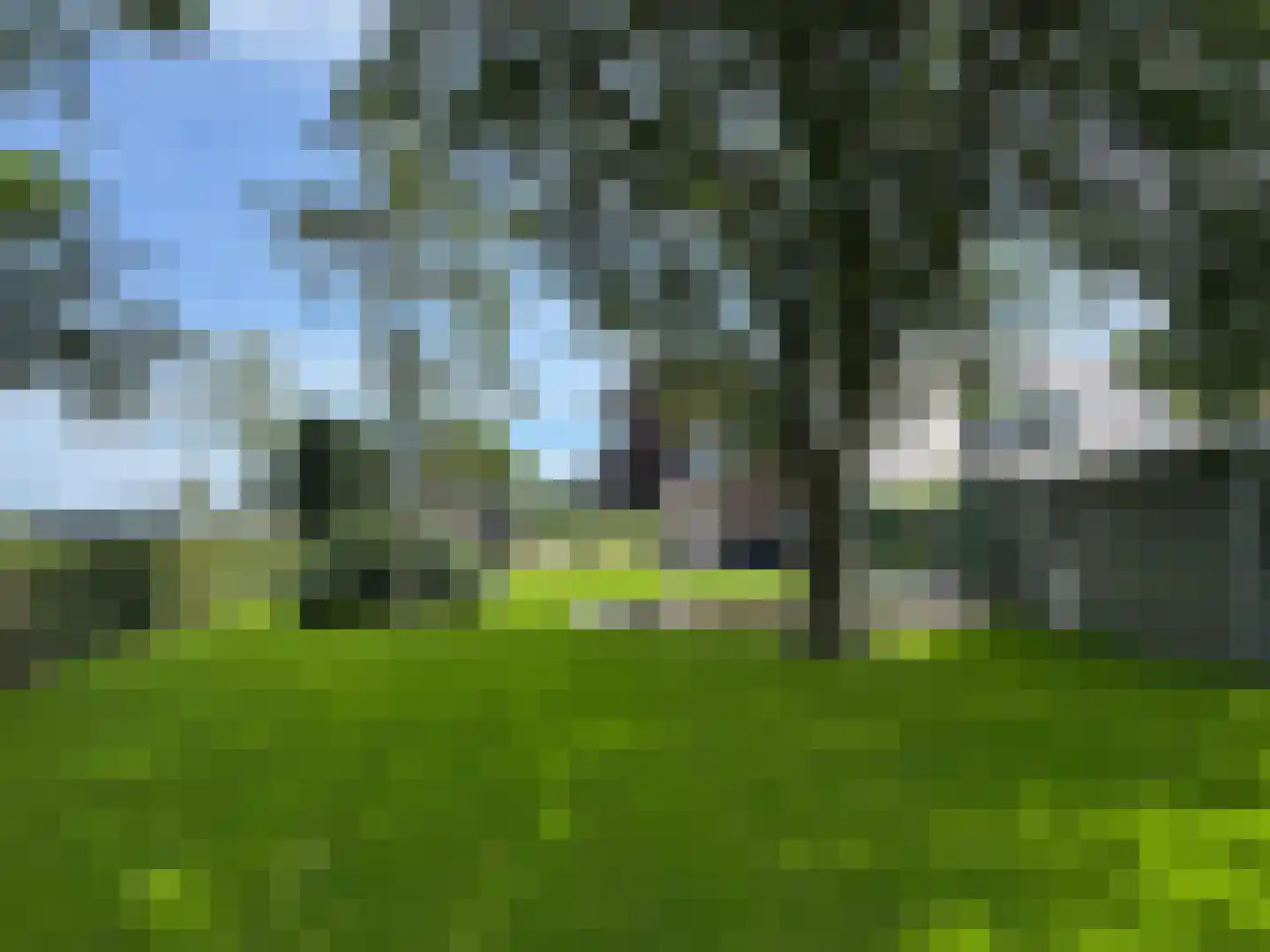 Hooya's Oord 8 Dalen thumbnail 22