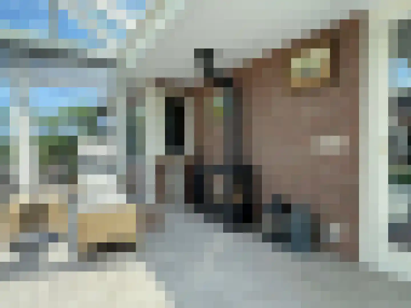 Hooya's Oord 8 Dalen thumbnail 36