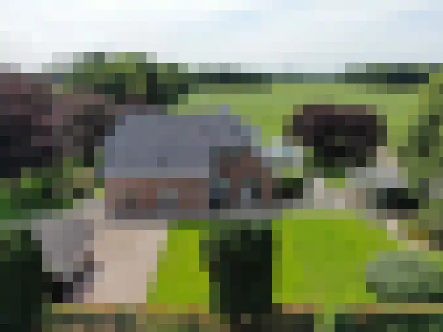 Hooya's Oord 8 Dalen thumbnail 63