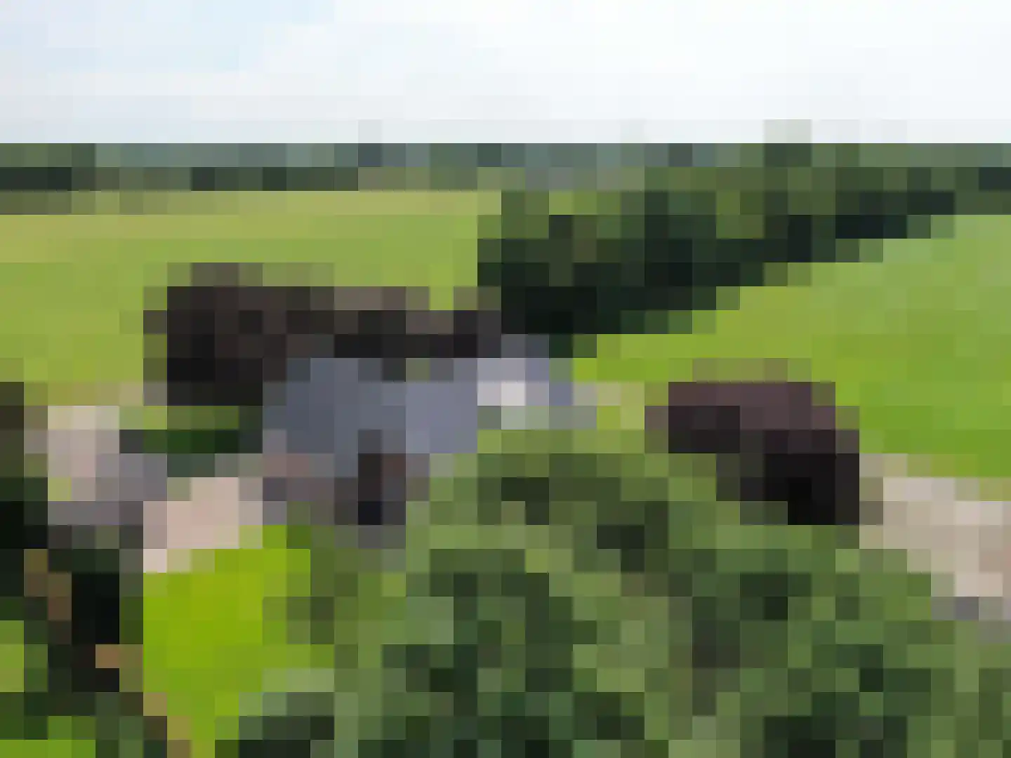 Hooya's Oord 8 Dalen thumbnail 65