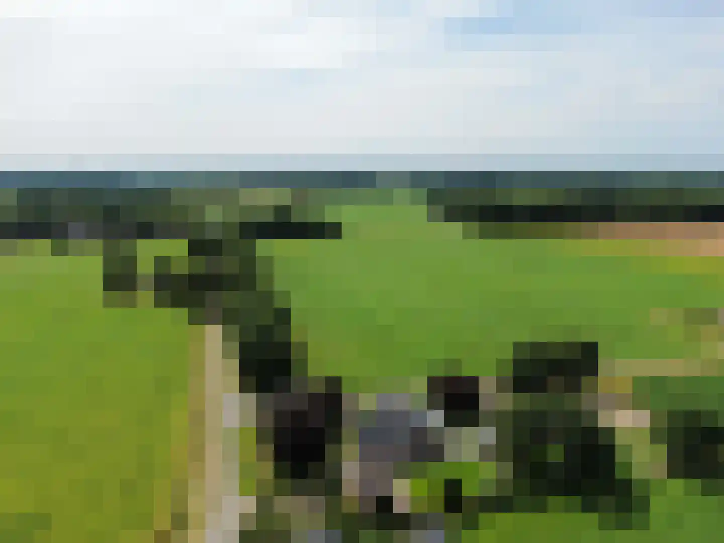 Hooya's Oord 8 Dalen thumbnail 66