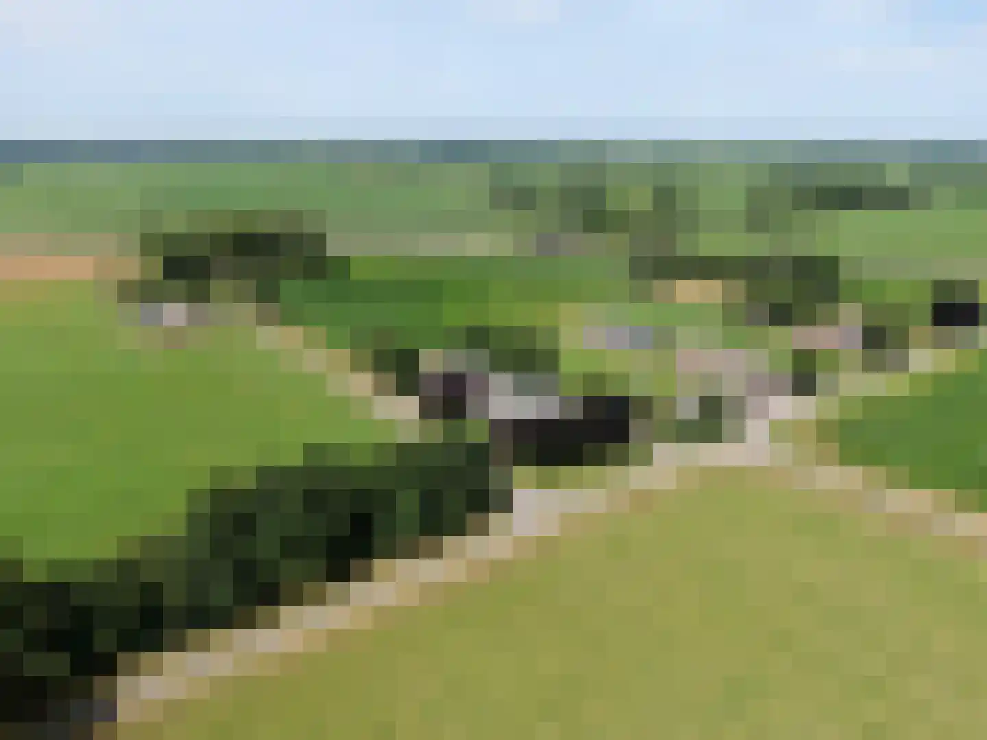 Hooya's Oord 8 Dalen thumbnail 69
