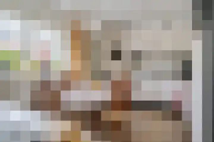 Hooybrink 2 Vledder thumbnail 11